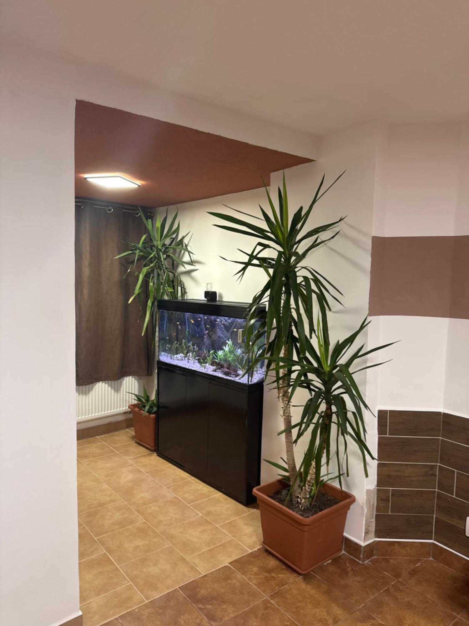 UnhošťAbc公寓 外观 照片